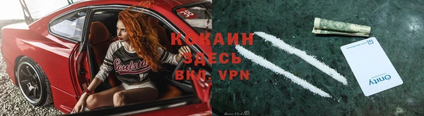 гидра Алексин