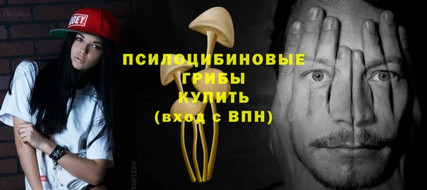 гидра Алексин