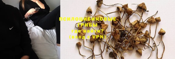 бошки Козловка