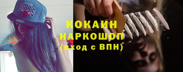 гидра Алексин