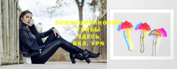 гидра Алексин