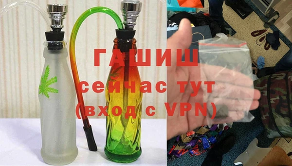 гидра Алексин