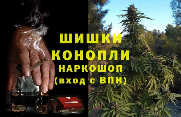 гидра Алексин