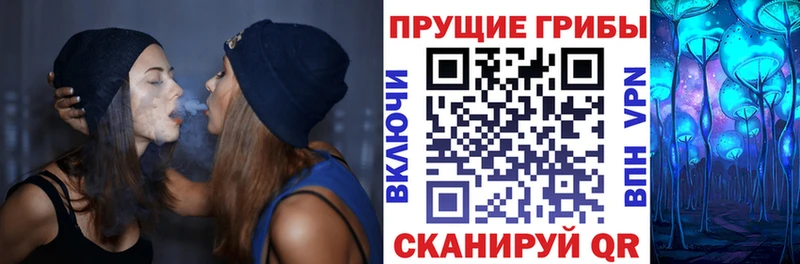 OMG   Гвардейск  Псилоцибиновые грибы ЛСД 