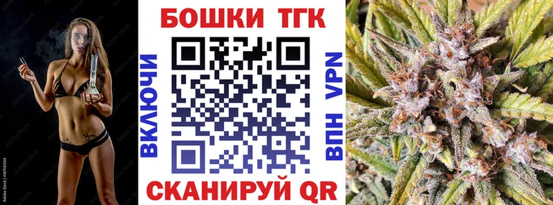 Бошки Шишки планчик Гвардейск